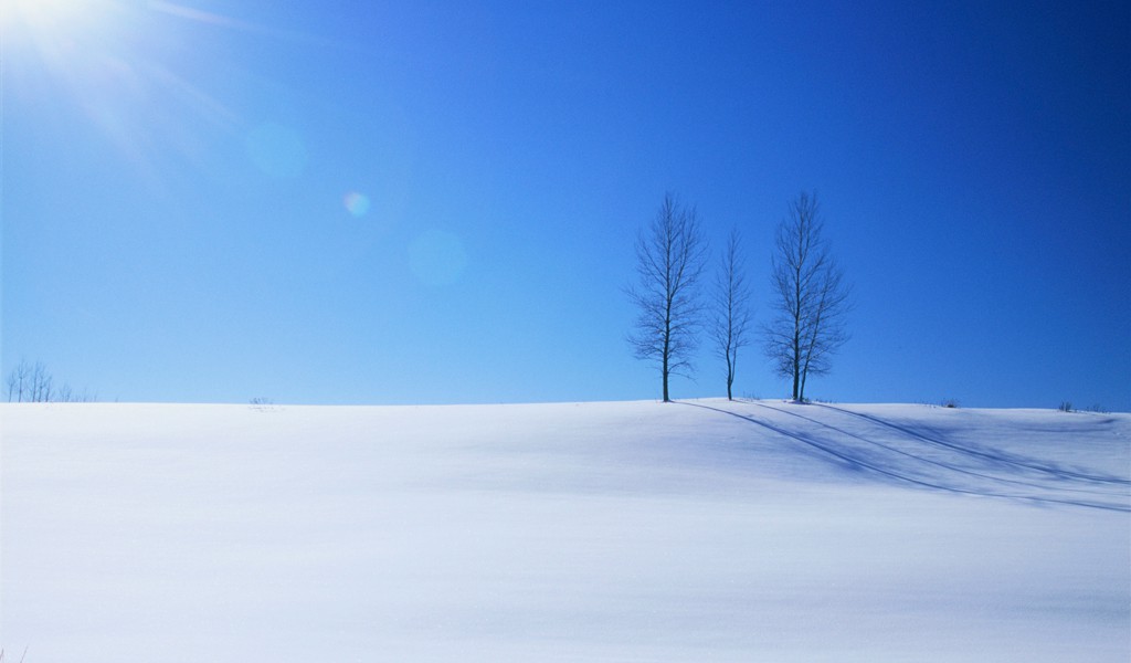 冬景色②